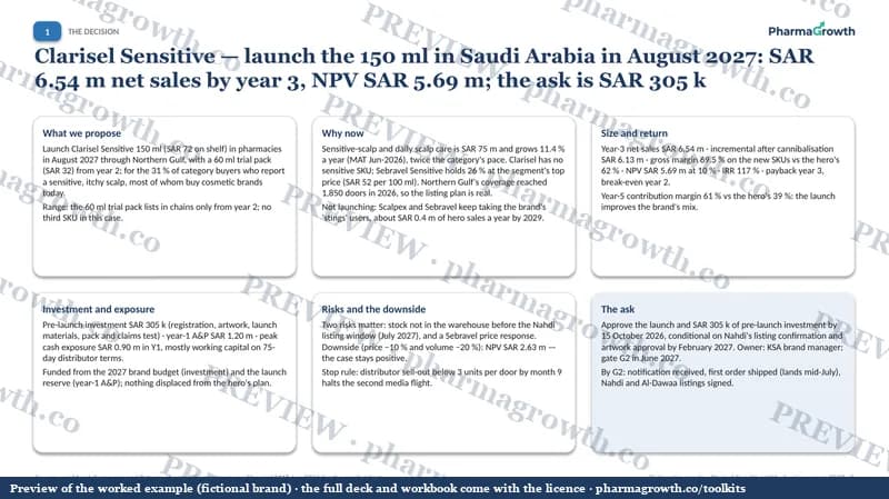 Preview of the Business case and NPV workbook example