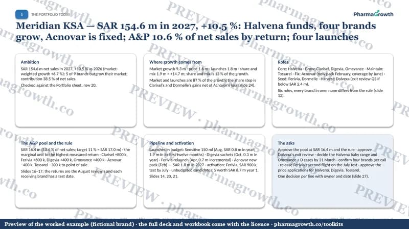 Preview of the Category and portfolio plan example
