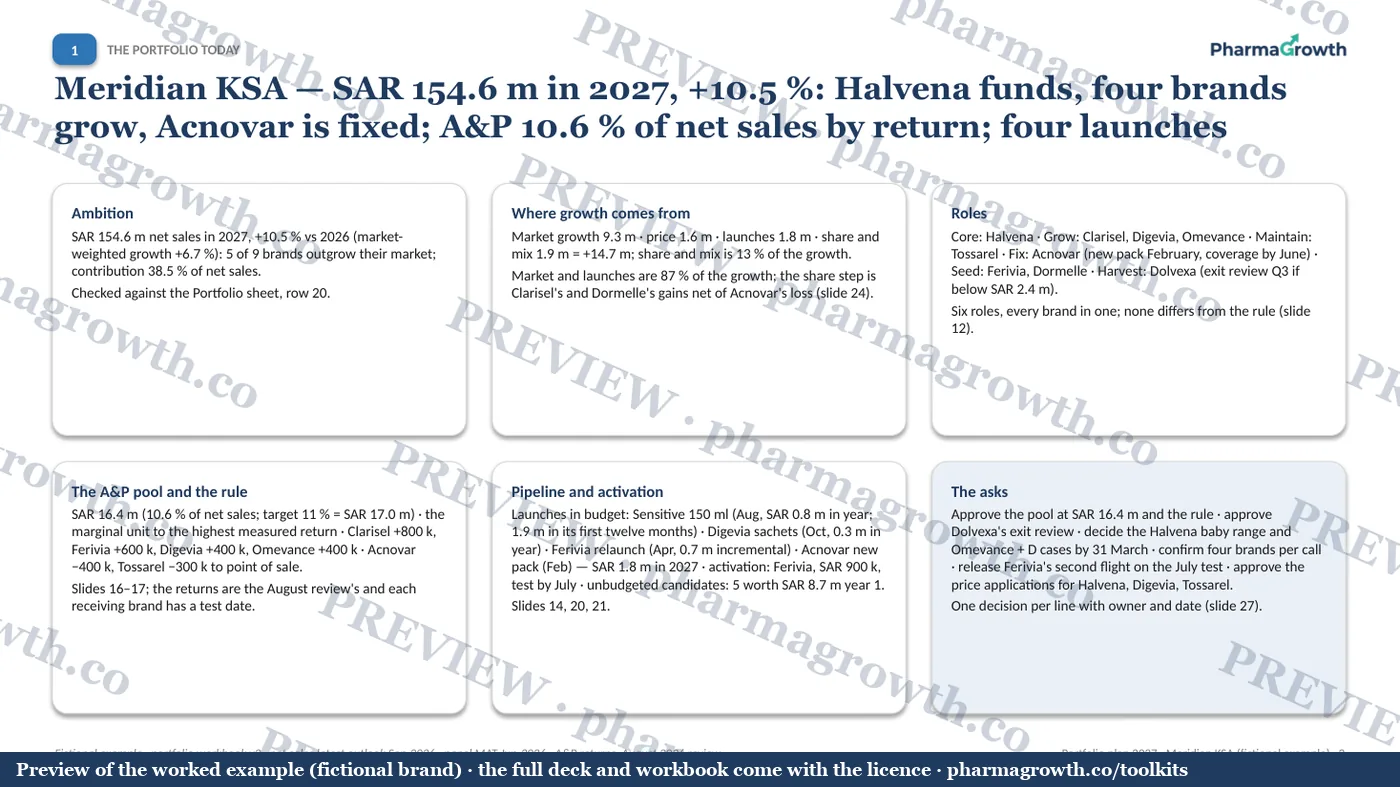 Slide 3 from the Category and portfolio plan example (watermarked preview)
