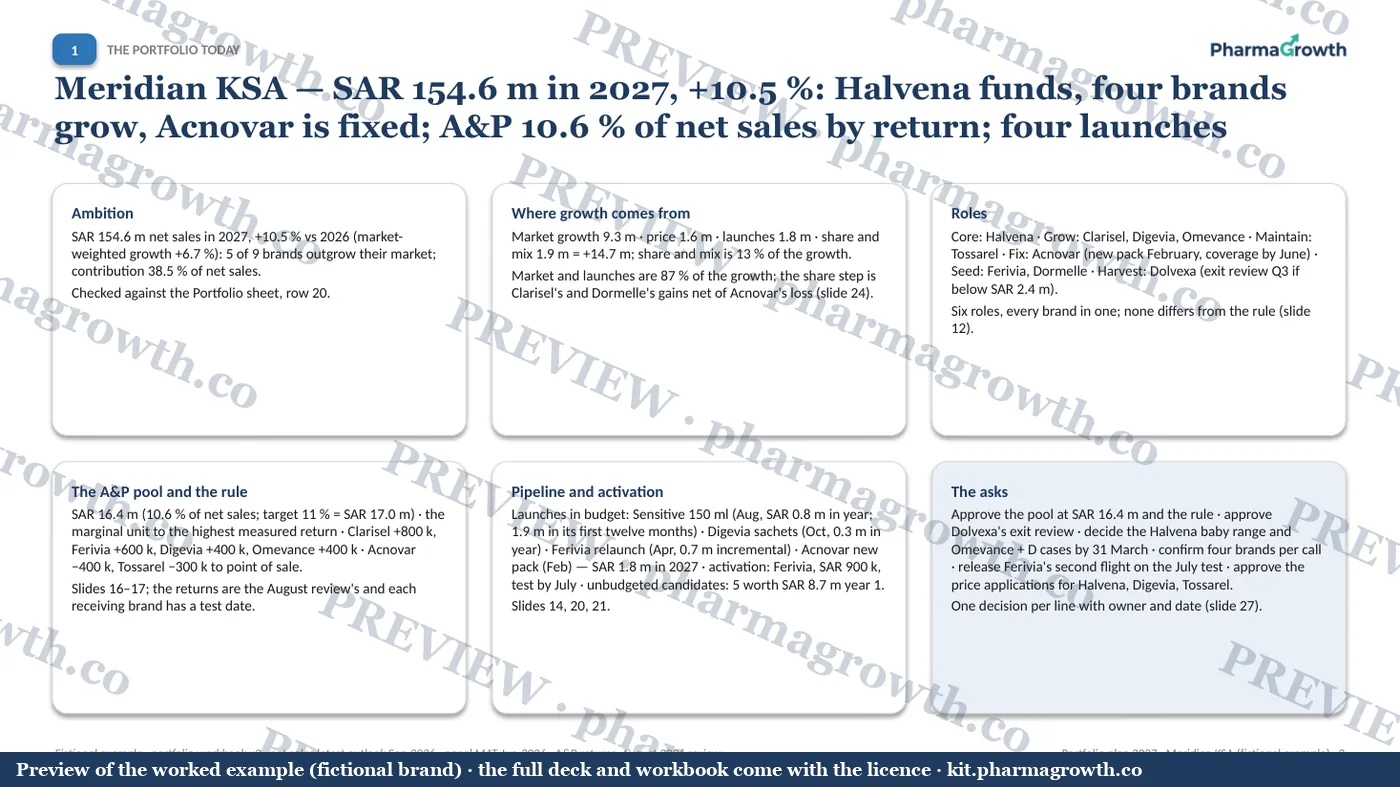 Slide 3 from the Category and portfolio plan example (watermarked preview)